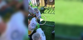 A bowl of guacamole weighing 6 tons was prepared at a Mexican festival. This is a world record