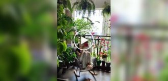 Китаянка, живущая в квартире в большом городе, создала атмосферу умиротворения и тишины