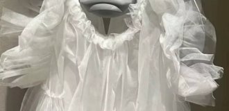 Pokemon Hanger (7 photos)