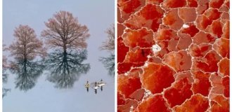 30 невероятно красивых фото, которые доказывают, что жизнь прекрасна и удивительна (31 фото)