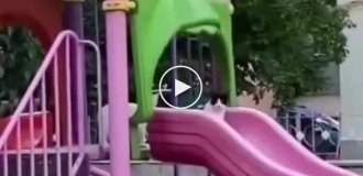 Когда в парке никого нет, маленький котенок тайком катается с горки