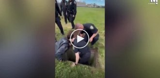 Полицейские Нью-Йорка спасли 11 утят, провалившихся в канализацию
