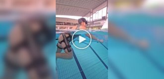 Beautiful and amazing (short videos). Release 60