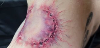 В Японии набирают популярность татуировки в виде укусов зомби (3 фото)