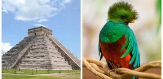 The Temple of Kukulkan - an ancient religious building and its living voices (8 photos + 1 video)