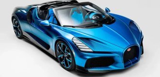 Bugatti посвятила стрекозе новейший эксклюзивный W16 Mistral (8 фото)