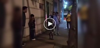 Поліція Макао затримала робота за приставання до літньої жінки