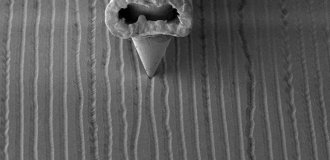 Микроскопические снимки виниловой пластинки и иглы (4 фото)