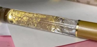 У Японії продають ручки із живими паразитами (2 фото + 1 відео)