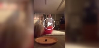 Девушки потеряли голову и... зубы в челлендже с едой