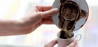 Бетон на кофейной гуще: звучит абсурдно, но это работает (3 фото)
