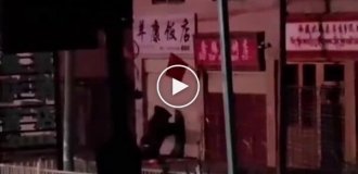 Голодные медведи залезли в ресторан в Китае