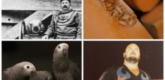 25 занимательных фактов из онлайн-группы Today I Learned (26 фото)