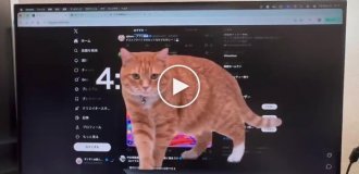 Забавное расширение для браузера, помогающее меньше сидеть в соцсетях