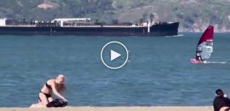 Виндсерфер врезался в кита в США