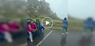Обезьяны в ЮАР захватили чужую машину — туристам оставалось только наблюдать