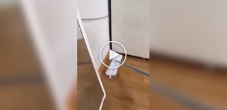 Странные видео (короткие видео). Выпуск 41