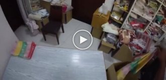 Искусственный интеллект обучается механике человеческих движений по видеороликам из Индии