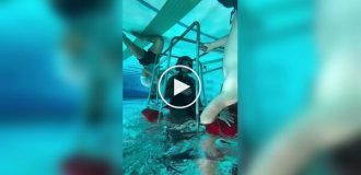 Тренировка по покиданию вертолета под водой