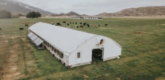 A mobile solar-powered chicken coop (2 photos + 3 videos)