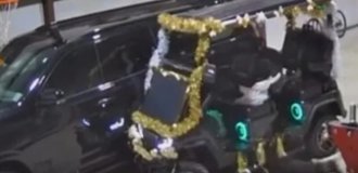 Пёс "угнал" гольфкар и врезался в автомобиль (2 фото + 1 видео)