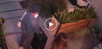 Кошка помахала хозяйке, уезжавшей в отпуск