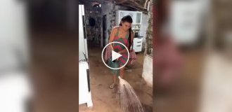 Хозяйка от Бога: Идеальная чистота в необычных условиях