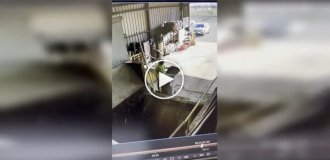 Вывоз мусора пошел не по плану