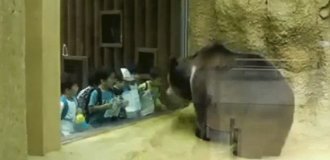 Дети такие дети: гифки которые точно вызовут у вас улыбку (13 гифок)