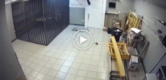 Вход для вора, выход с полицией