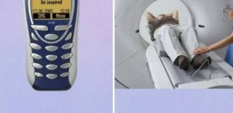 Лучшие шутки и мемы из Сети. Выпуск 702 (100 картинок)