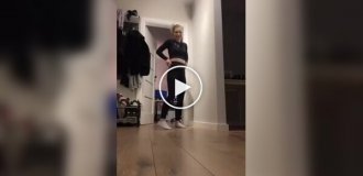 Любопытный кот стал главной звездой видео