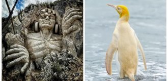 20 photos that will help you experience the simple magic of our world (21 photos)