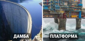 19 фотографий, которые наглядно покажут, что такое мегалофобия (20 фото)