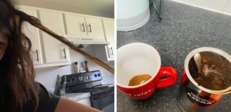 Morning is the best time of day for unexpected and annoying failures (18 photos)