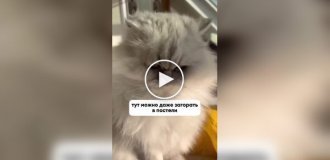 Современная квартира парижанина