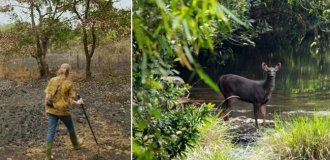 Couple Spends 30 Years Replanting Rainforest to Restore Nature Reserve (14 Photos)