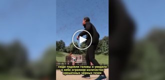 Как пауки путешествуют на дальние расстояния