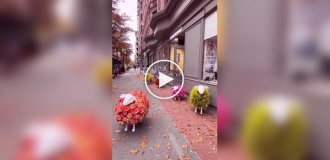 Flower sheep outside a store in New York