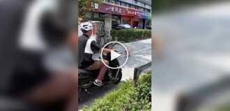 Робопес выгуливает обычную собаку