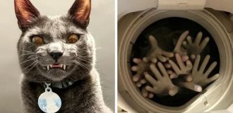 22 странных фото, после которых страшно ложиться спать (24 фото)