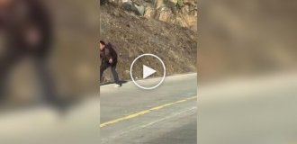 In China, a man fought a cobra... and won