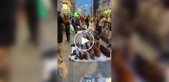 Богатый ассортимент товаров у уличных торговцев во Франции