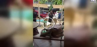 Огромный варан неожиданно заглянул в кафе в Бангкоке