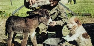 Редкие и интересные фотоматериалы с фронтов Второй Мировой Войны (21 фото)