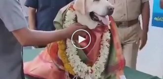 В Индии на пенсию проводили собаку-ищейку, 12 лет проработавшую в полиции