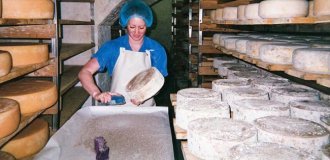 Сырная нора: один день из жизни бруклинского сыродела (36 фото)