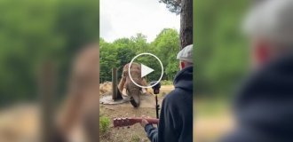 Музыка, которая объединяет людей и животных