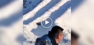 Странные видео (короткие видео). Выпуск 37