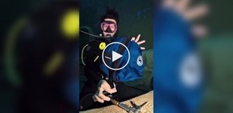 What happens to the lungs during a sudden ascent with a large force Depths